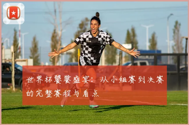 世界杯饕餮盛宴:从小组赛到决赛的完整赛程与看点
